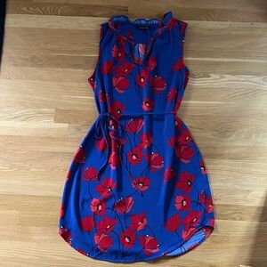 41 Hawthorn Blue and Red Floral Mini Dress